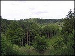 g.jpg
