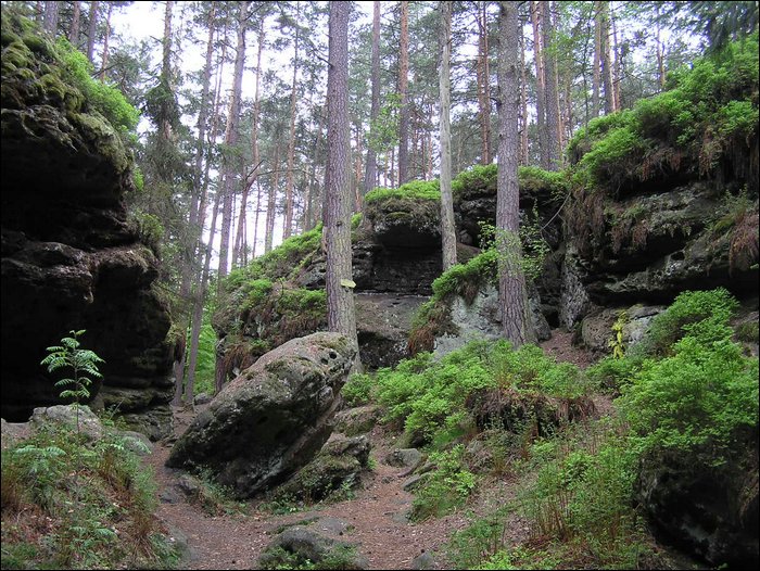 Roudna-150506 036.jpg