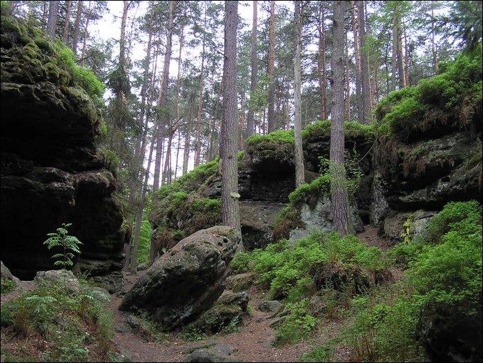Roudna-150506 037.jpg