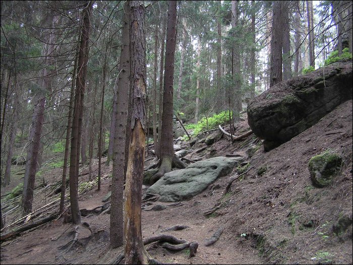 Roudna-150506 044.jpg