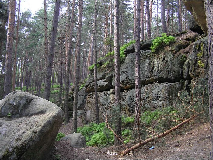 Roudna-150506 047.jpg