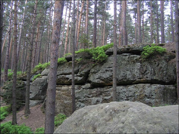 Roudna-150506 049.jpg