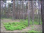 Roudna-150506 032.jpg