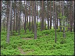 Roudna-150506 034.jpg