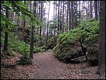 Roudna-150506 035.jpg