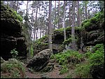 Roudna-150506 037.jpg