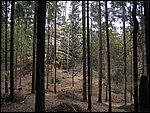 Roudna-150506 038.jpg