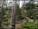 Roudna-150506 039.jpg