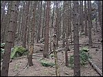 Roudna-150506 042.jpg