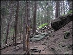Roudna-150506 044.jpg