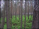 Roudna-150506 051.jpg