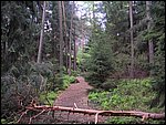 Roudna-150506 054.jpg