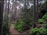 Roudna-150506 055.jpg