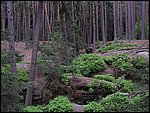 Roudna-150506 059.jpg