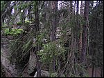 Roudna-150506 060.jpg