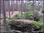 Roudna-150506 062.jpg