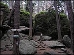 Roudna-150506 071.jpg