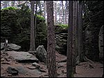 Roudna-150506 072.jpg