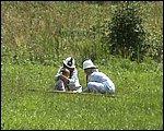 045.jpg