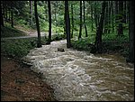 P8140004.JPG
