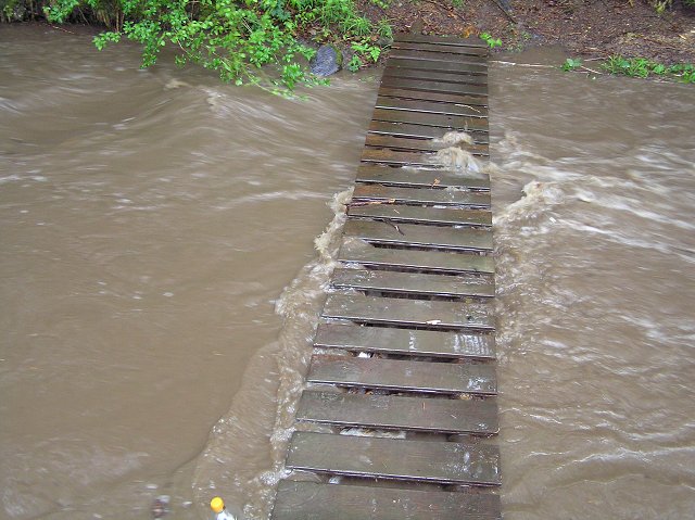 img00001.jpg