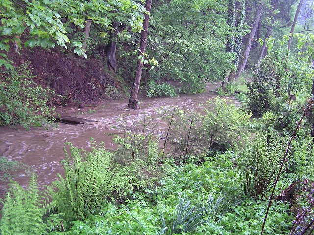 img00003.jpg