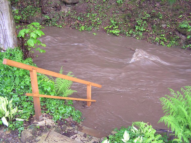 img00004.jpg