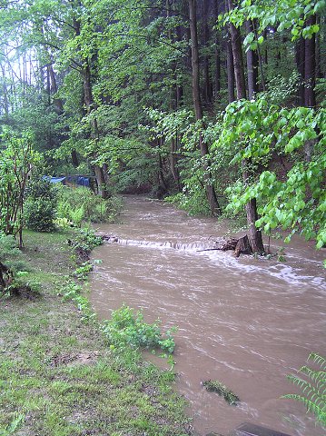 img00011.jpg