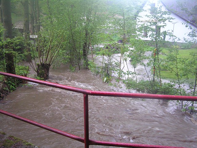 img00013.jpg