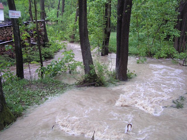 img00016.jpg