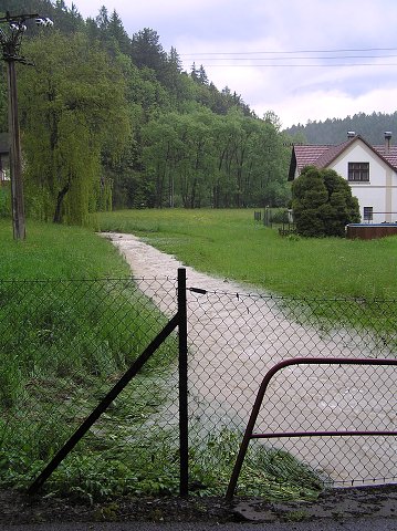 img00017.jpg
