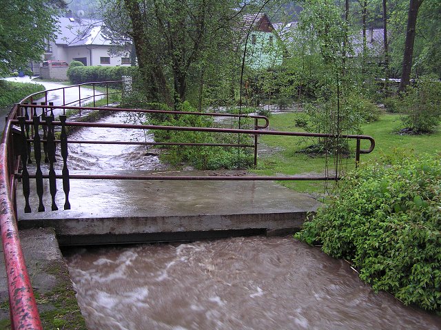 img00019.jpg