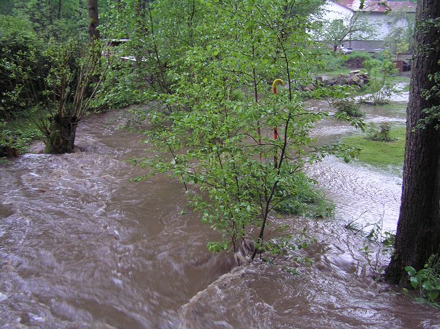 img00020.jpg