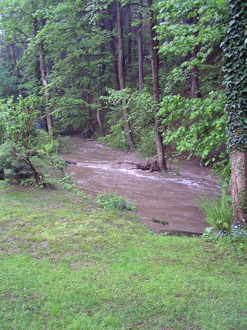 img00021.jpg