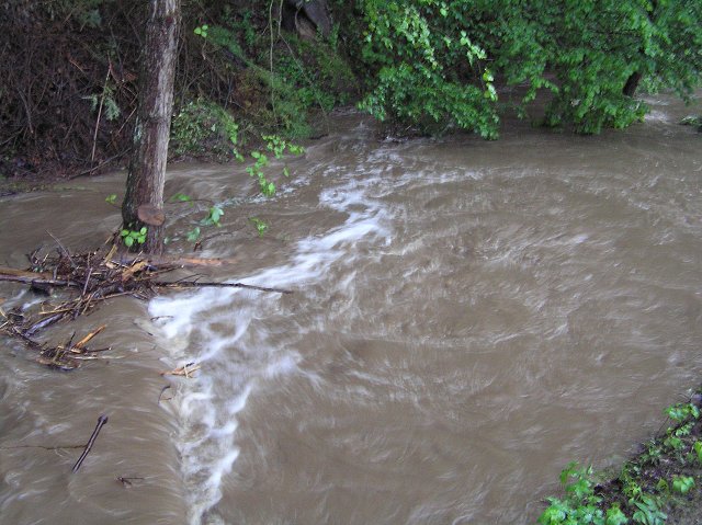 img00023.jpg