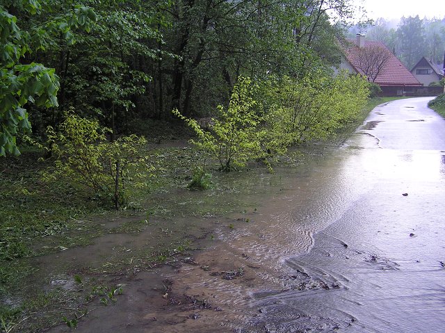 img00024.jpg