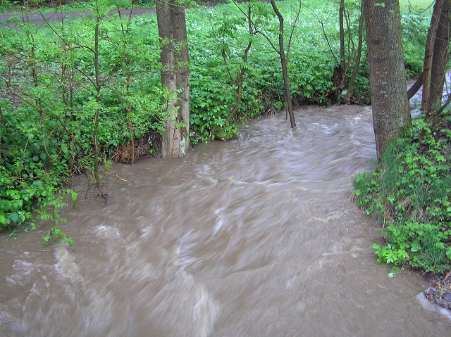 img00026.jpg
